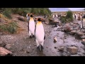 Adventures of the Penguin King - Clip