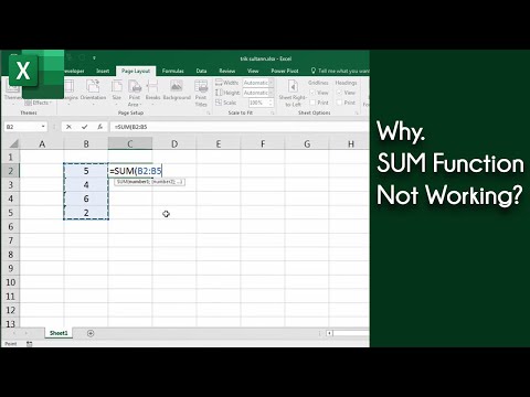 Video: Kodėl mano sumos neveikia „Excel“?