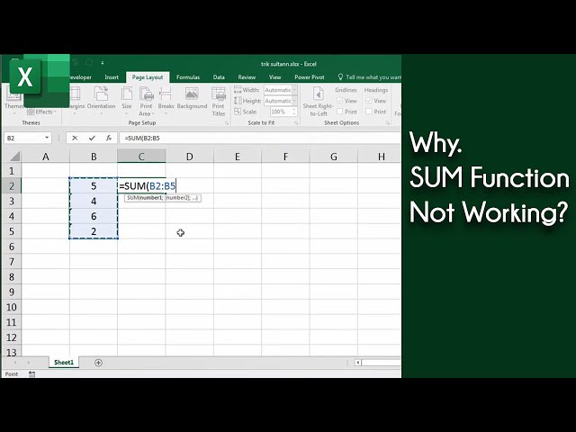 Excel SUM Function Not Working? class=