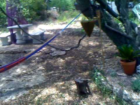 restored labyrinth garden, hippie hammock, big tre...