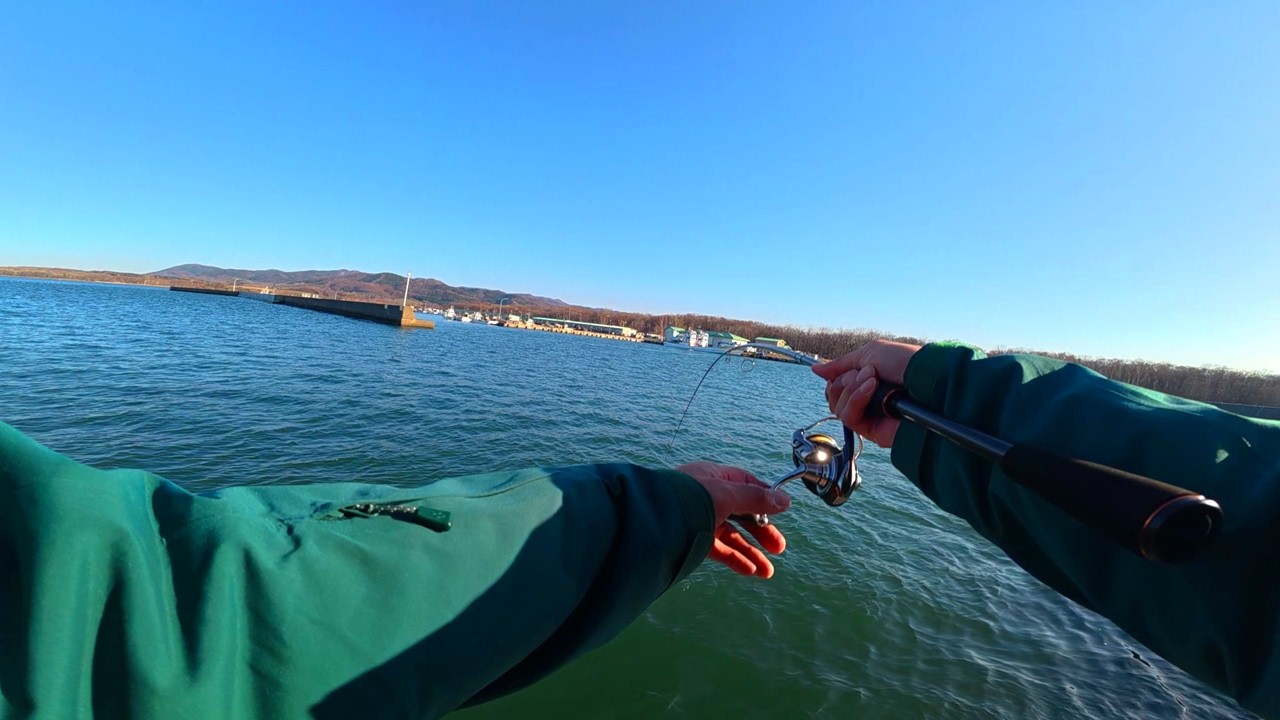 春の訪れはカレイから