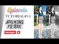 Tutorial 14 || Applying Filters in Hindi/Urdu || Episode Limelight