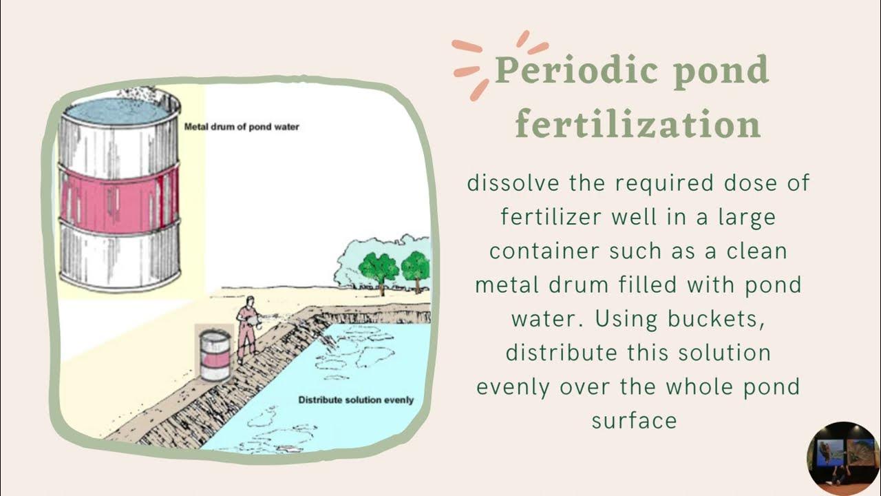 AQUA Methods of Fertilizer Application AY 20222023 (2) YouTube