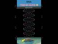 DNA 🧬 Animation | python