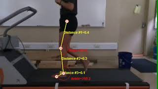 Walking Gait Analysis - MaxTRAQ