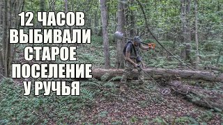 А Я ДУМАЛ НИЧЕГО НЕ НАЙДЕМ, А ТУТ СТОЛЬКО... Поиск золота с металлоискателем / Russian Digger