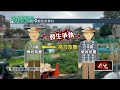 社會犯罪事件