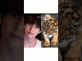 Bts And Their Representative Animals Subscribe Kpop Bts Cute Btsarmy Bts And Their Representative Animals Subscribe Kpop Bts Cute Btsarmy