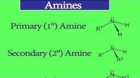 Lec-8| Hofmann Ammonolysis| Reaction, Mechanism| Important Points| Amines| Bsc, IIT JAM, NEET, JEE