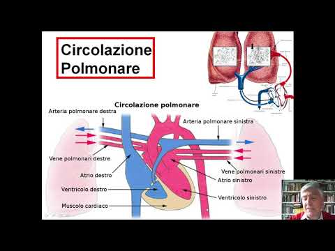 un monitoraggio dimenticato ETCO2 Parte 1  introduzione