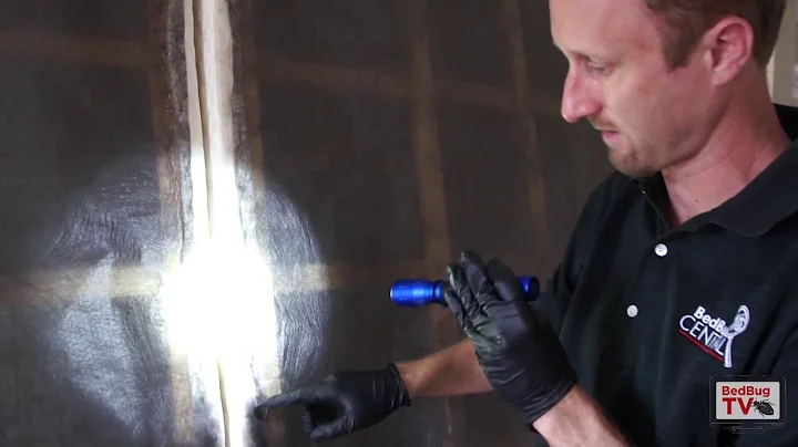 How to Inspect a Bed for Bed Bugs