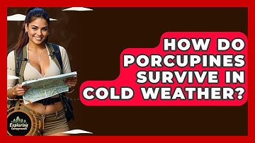 How Do Porcupines Survive In Cold Weather? - Exploring Campgrounds