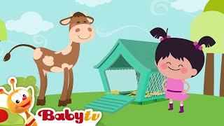 Little Lola Visits the Farm | Cow 🐄 | Farm Animals   | Videos for Toddlers | Cartoons@BabyTV​