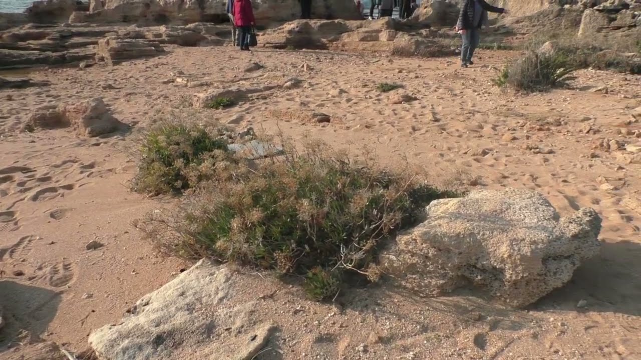 32.Тайелет Рош-а-Никра