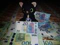 Amazing💶 Real Money Euro Cash💰 #millionaire #dollar #cash