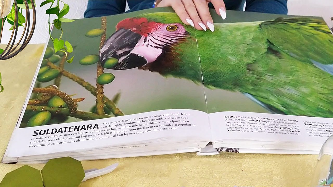 ASMR Page Turning & Squeezing For Calmness & Relaxation