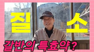 장마철에 잘 발생하는 갈색무늬병(갈반)에 질소가 특효약?