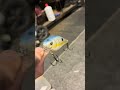 First lipless crank bait review @fyp￼￼