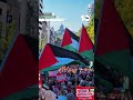 📍Belçika’da 200.000 kişi Filistin için bir araya geldi.🇵🇸