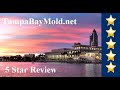TampaBayMold.net St Petersburg Mold Inspection 5 Star Review 813-358-4766