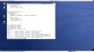 Oracle DBA Tutorials for Beginners - Part 9