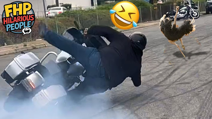 Funny & Hilarious People Life 😆 #286 | TRY NOT TO LAUGH 😂 | Instant Regret Fails Compilation 2025