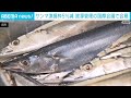 サンマの総漁獲枠5％減　日本提案の10％減ならず　北太平洋漁業委員会(2026年4月17日)