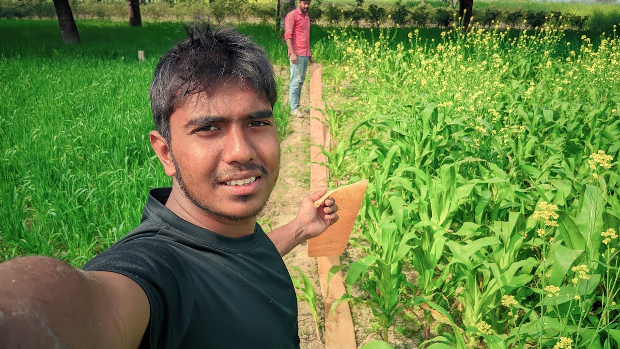 জল দিতে গিয়ে চোখ কপালে 😳