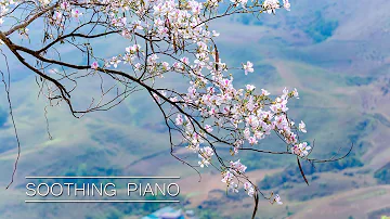 MORNING PIANO MUSIC❤️Happy, Uplifting, Inspiring & Motivational - Peaceful Morning Meditation Music