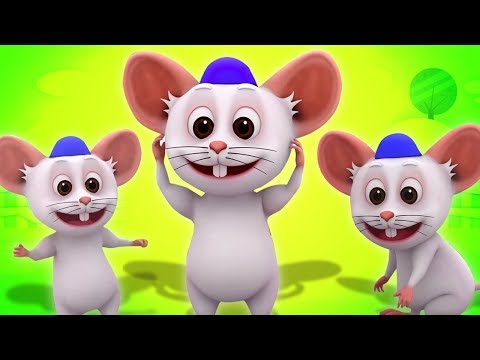 Glowa ramiona kolana i stopy | 3D Songs | Head Shoulder | Kids TV | Piosenki Dla Dzieci Po Polsku