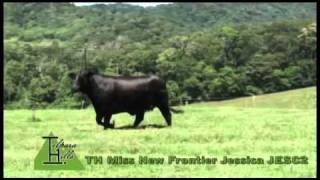 Telpara Hills New Frontier Jessica Jesc2.Avi