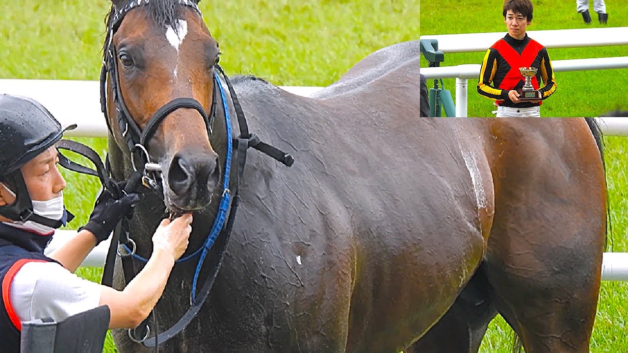 【ミッキーアイル産駒😲ライツフォル＆松山弘平騎手 1番人気に応えて見事勝利😊❗❗】 京都10R サイレンススズカカップ 3歳以上3勝クラス 2024.6.23