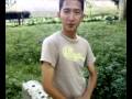Djawatan Benculuk Kecamatan Cluring