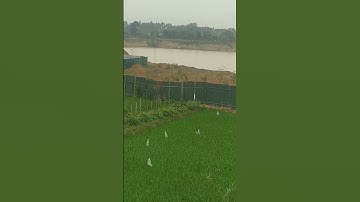 Bức xúc vì Đồng ruộng biến thành nơi khai thác cát😠😠😠