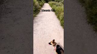 Etiwanda falls hike🙂‍↕️🌲#hike #views #foryou #viral #hot#trending  #toptrending #fyp #fypシ゚viral