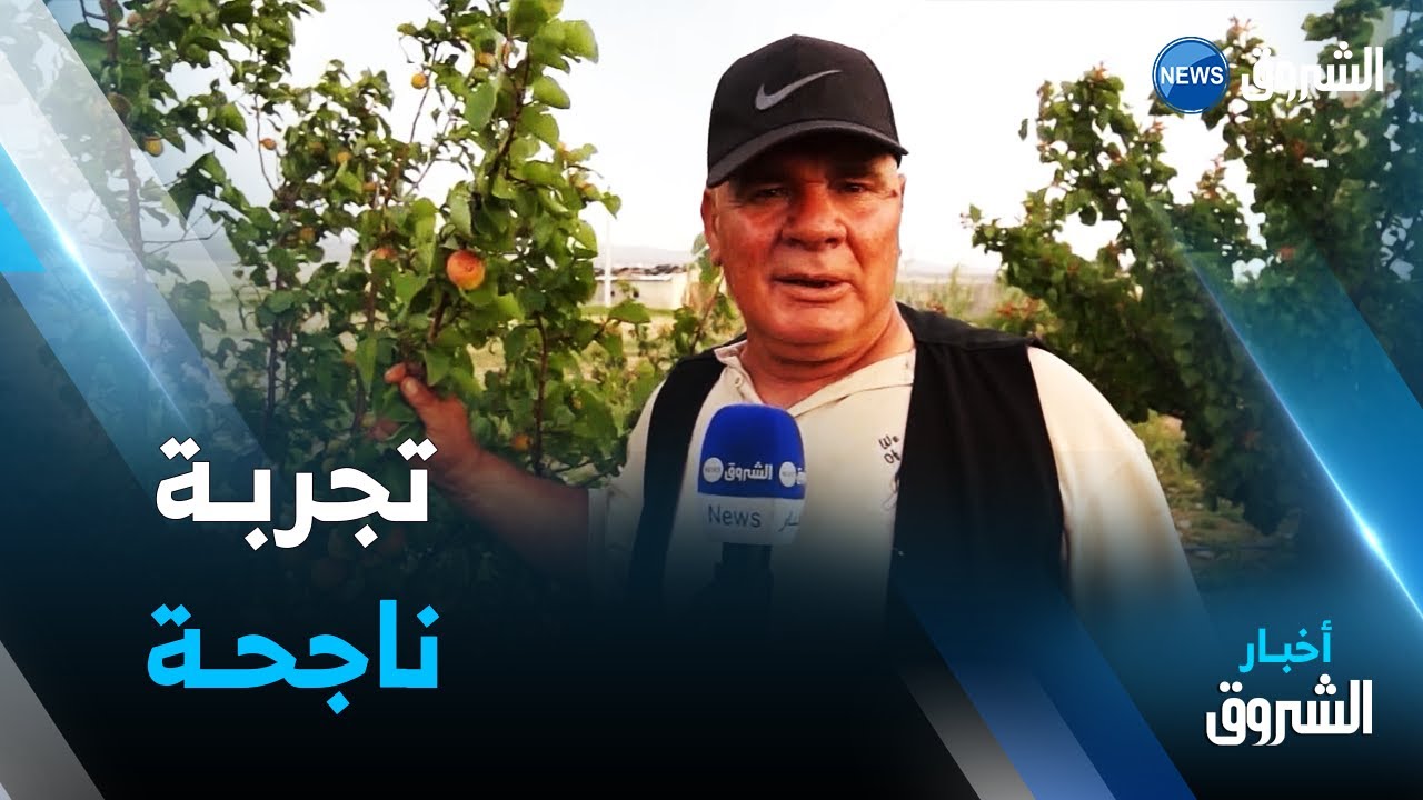 أم البواقي : عائلة تتحدى الصعوبات و تخوض تجربة ناجحة في الأشجار المثمرة