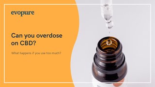 What Happens If You Use Too Much CBD Oil?