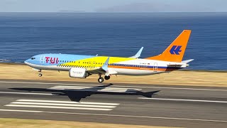 TUI 50th ANNIVERSARY LIVERY B737 MAX 8  at Madeira Airport by Madeira Airport Spotting 2,843 views 2 weeks ago 5 minutes, 26 seconds