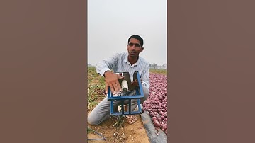 Onion roots and stem cutting machine | #shorts #viral