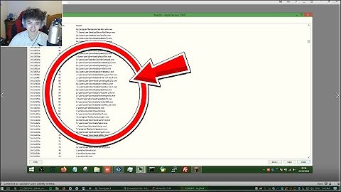 HACKER GRABS MY IP AFTER I FOUND HIS GHOST CLIENT (SCREENSHARE)