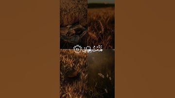 ﴿ يَقُولُ يَا لَيْتَنِي قَدَّمْتُ لِحَيَاتِي﴾[ الفجر: 24] | القارئ رعد الكردي 🎧😌 | راحة نفسية