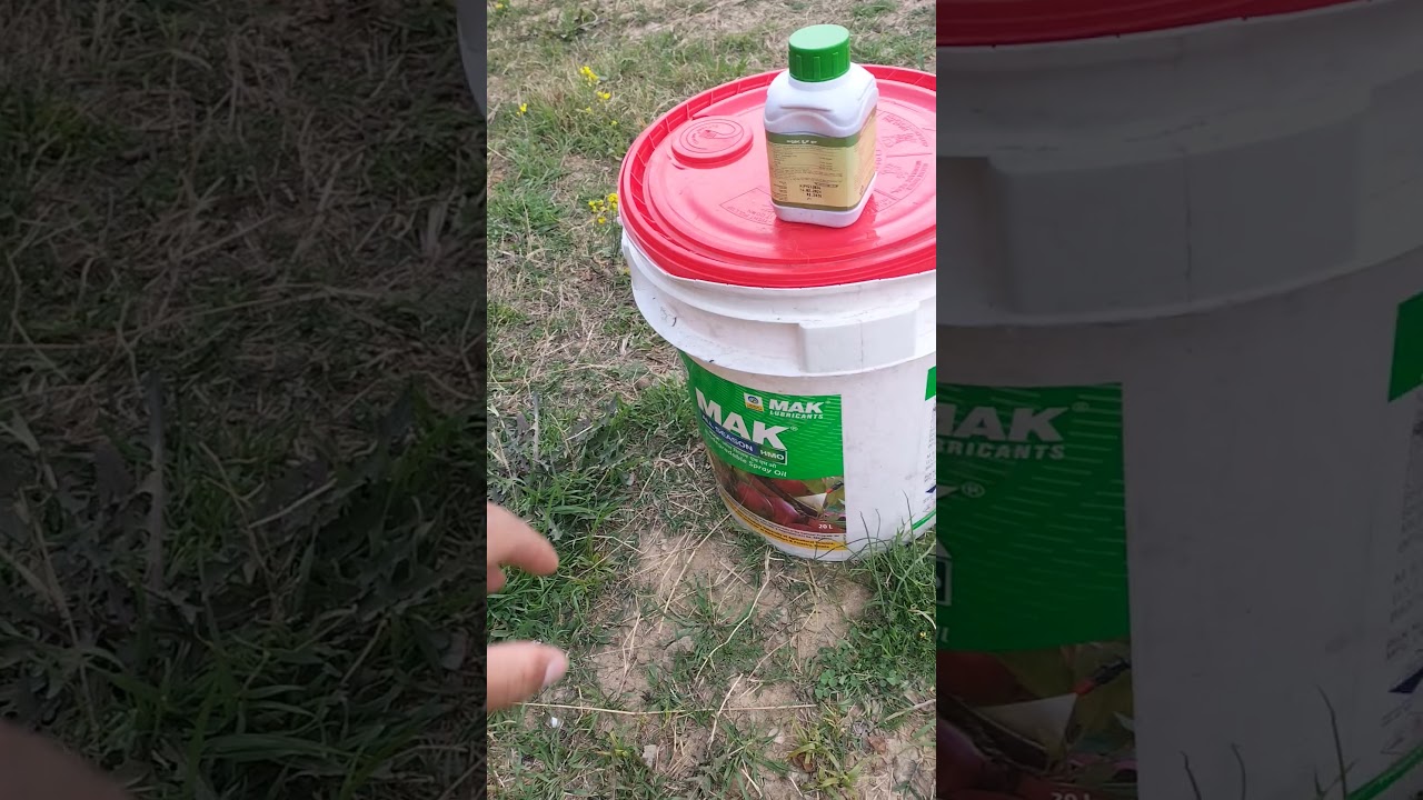 hmo plus neem oil spray for apple and pear tree 