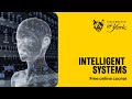 Intelligent systems (free online course)