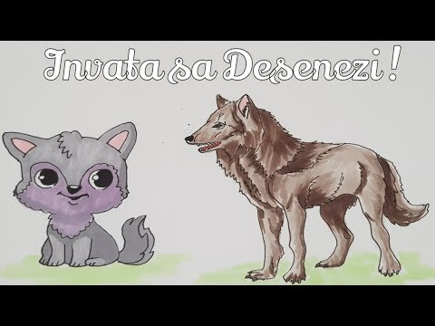 Invata sa desenezi Animale | Cum Desenez si Colorez Lupi | Desen pentru  Copii Pas cu Pas - YouTube