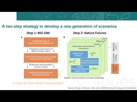 Webinar on Biodiversity