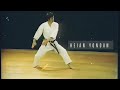 Heian Yondan | 5th Kyu | Hirokazu Kanazawa