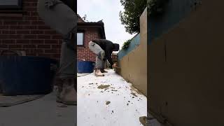 Garden wall rendered.