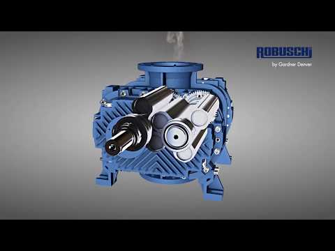 RBS – Rotary Lobe Blower Working Principle in GDI