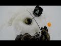Crappie Ice Fishing Secrets- Keep Searching To Find Schools Of Crappies…