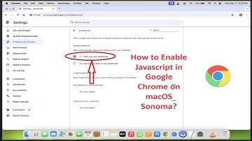 How to Enable Javascript in Google Chrome on macOS Sonoma?